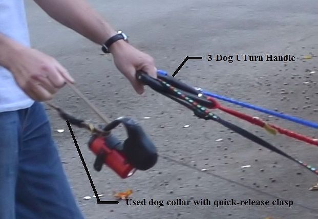 Flexi-Dog-Collar-UTurn-Handle